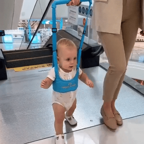 Steady Steps™ Walking Harness